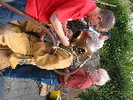 IMG_0595 IMG_0595