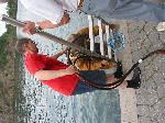 IMG_0596 IMG_0596