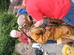 IMG_0599 IMG_0599