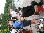 IMG_0606 IMG_0606