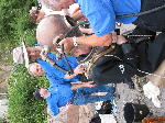 IMG_0610 IMG_0610