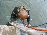 IMG_0617 IMG_0617