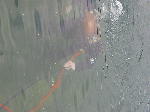 IMG_0620 IMG_0620