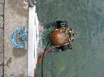 IMG_0621 IMG_0621
