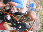 IMG_0623 IMG_0623