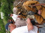 IMG_0633 IMG_0633