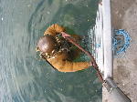 IMG_0639 IMG_0639