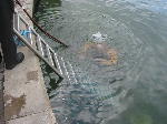 IMG_0641 IMG_0641