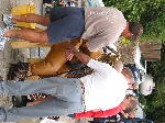 IMG_0645 IMG_0645