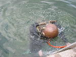 IMG_0665 IMG_0665