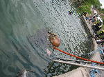 IMG_0666 IMG_0666
