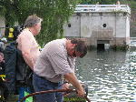 IMG_0674 IMG_0674