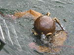 IMG_0677 IMG_0677