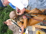 IMG_0679 IMG_0679