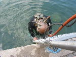 IMG_0691 IMG_0691