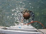 IMG_0755 IMG_0755