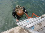 IMG_0693 IMG_0693