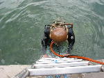 IMG_0702 IMG_0702