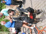 IMG_0732 IMG_0732
