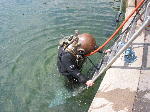 IMG_0749 IMG_0749
