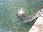 IMG_0750 IMG_0750