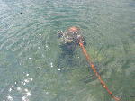 IMG_0751 IMG_0751