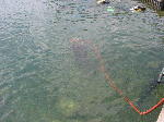 IMG_0752 IMG_0752