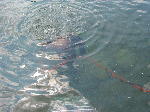 IMG_0754 IMG_0754
