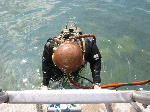 IMG_0756 IMG_0756