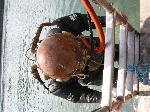 IMG_0758 IMG_0758