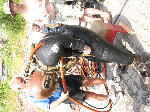 IMG_0761 IMG_0761