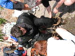 IMG_0773 IMG_0773