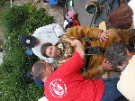 IMG_0790 IMG_0790