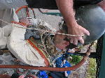 IMG_0794 IMG_0794