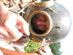 IMG_0795 IMG_0795