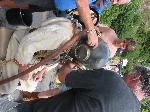 IMG_0798 IMG_0798
