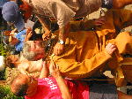 IMG_0805 IMG_0805