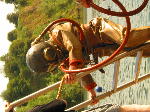 IMG_0813 IMG_0813
