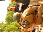 IMG_0816 IMG_0816