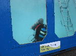 IMG_8196 IMG_8196