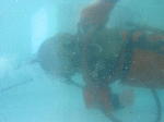IMG_8208 IMG_8208