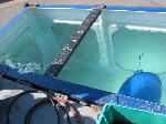 IMG_8218 IMG_8218