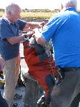 IMG_8219 IMG_8219