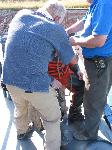 IMG_8223 IMG_8223