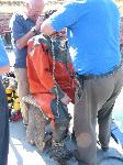 IMG_8228 IMG_8228