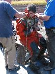 IMG_8231 IMG_8231