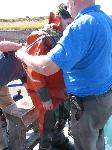 IMG_8236 IMG_8236