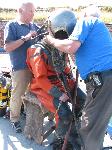 IMG_8242 IMG_8242
