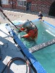 IMG_8254 IMG_8254