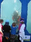 IMG_8257 IMG_8257